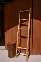Escalera Lázara
