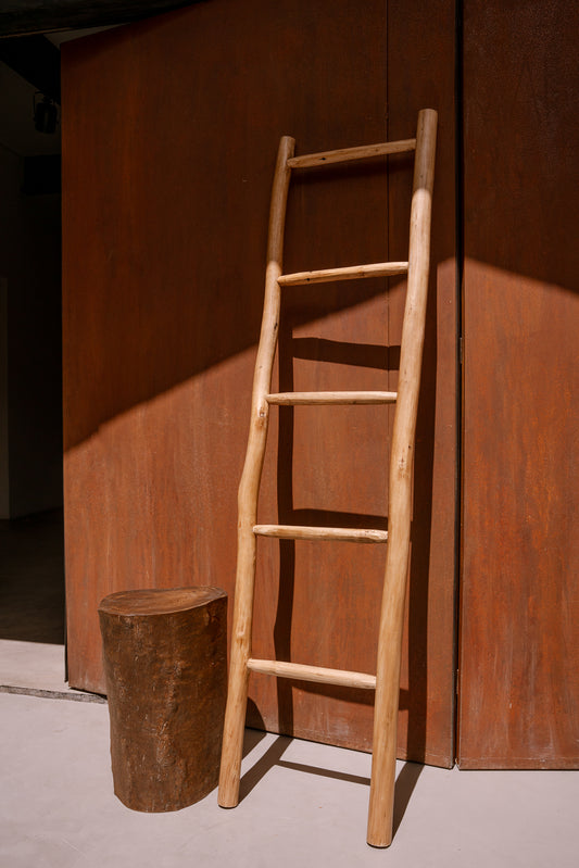 Escalera Lázara