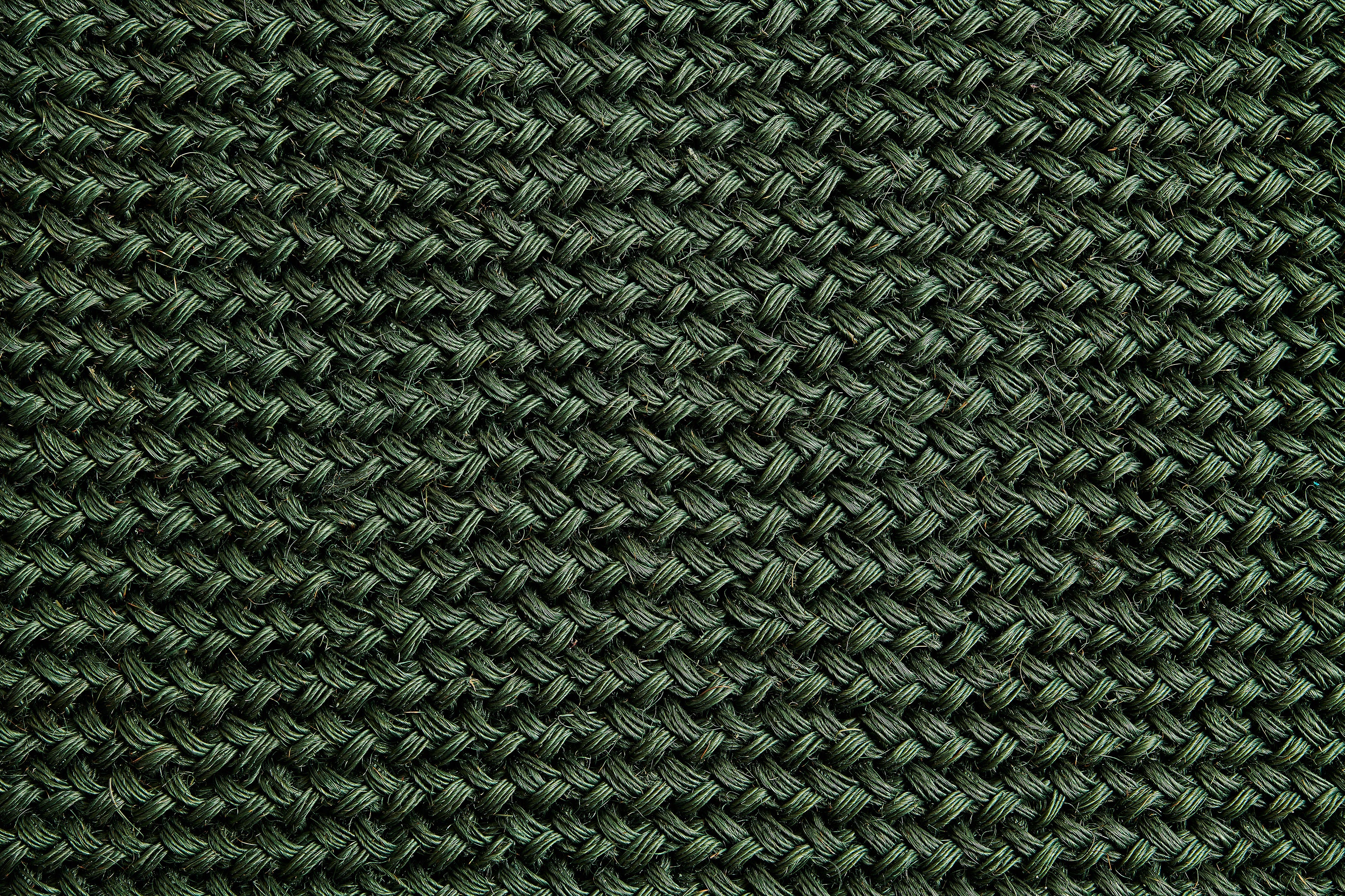 Tapete fique de colores