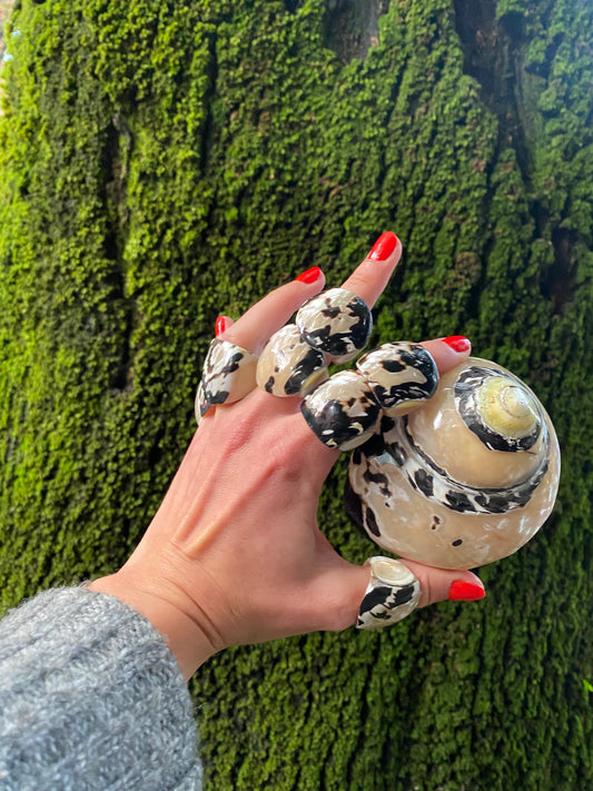 Anillos de concha
